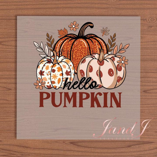 Pumkin, Fall Vibes, Fall Autumn, DTF Transfers Ready To Press, Direct To Film Transfer DTF, DTF Prints, Ready To Press
